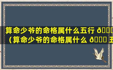 算命少爷的命格属什么五行 🐟 （算命少爷的命格属什么 🐎 五行属性）